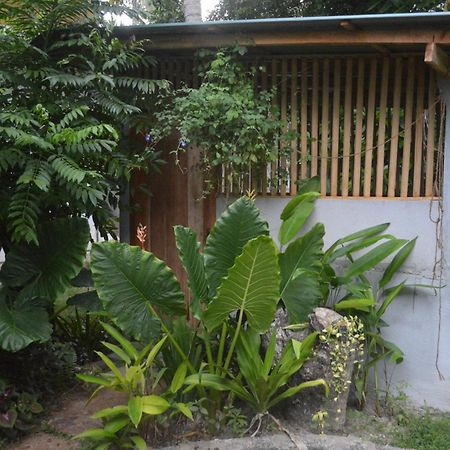 Coconut Grove - Midigama Hotel Luaran gambar
