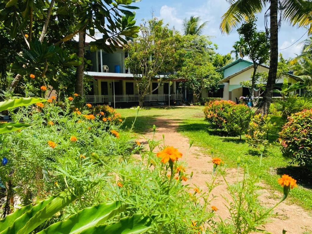 Coconut Grove - Midigama Hotel Luaran gambar