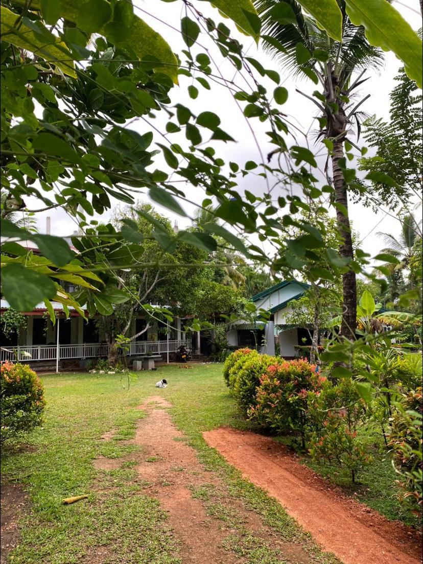 Coconut Grove - Midigama Hotel Luaran gambar