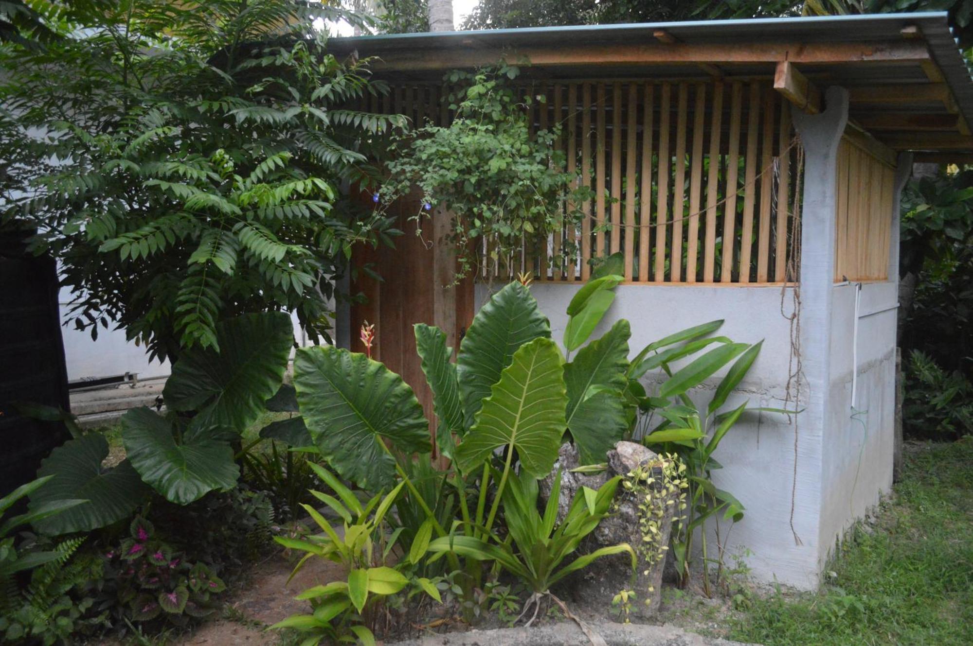 Coconut Grove - Midigama Hotel Luaran gambar