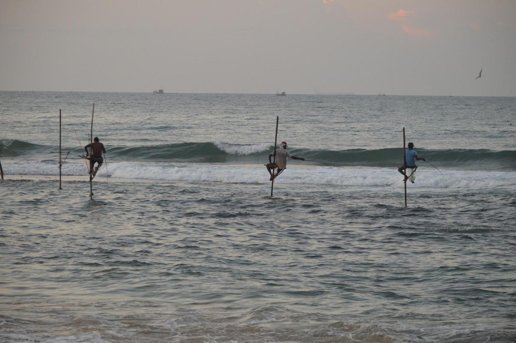 Coconut Grove - Midigama Hotel Luaran gambar