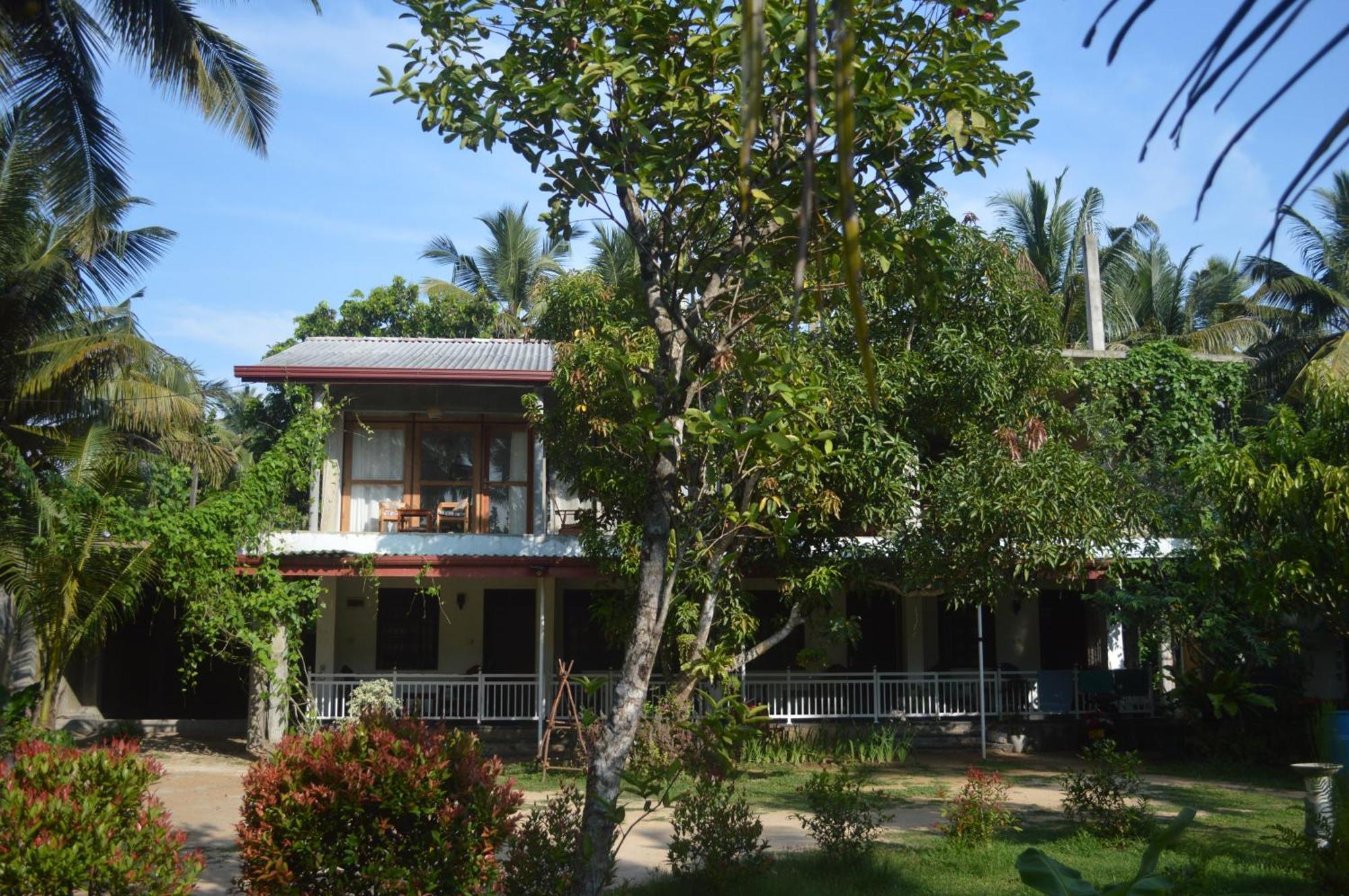 Coconut Grove - Midigama Hotel Luaran gambar