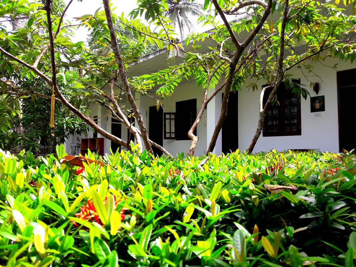 Coconut Grove - Midigama Hotel Luaran gambar
