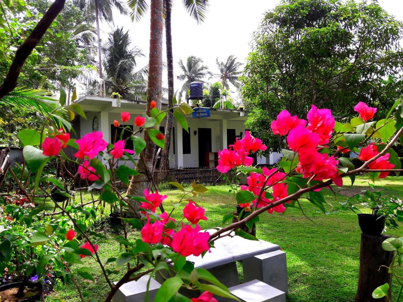 Coconut Grove - Midigama Hotel Luaran gambar