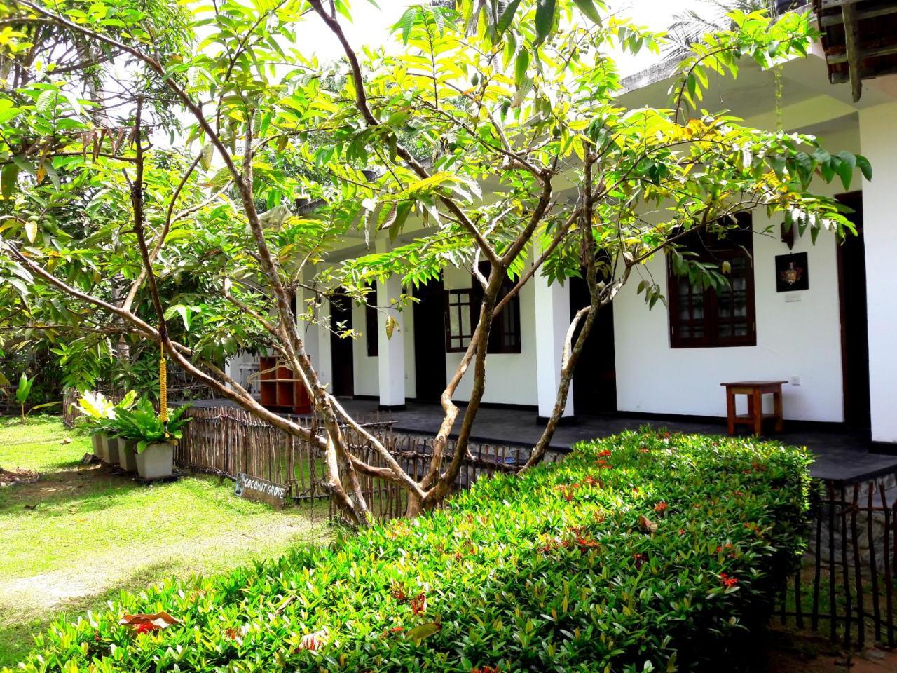 Coconut Grove - Midigama Hotel Luaran gambar