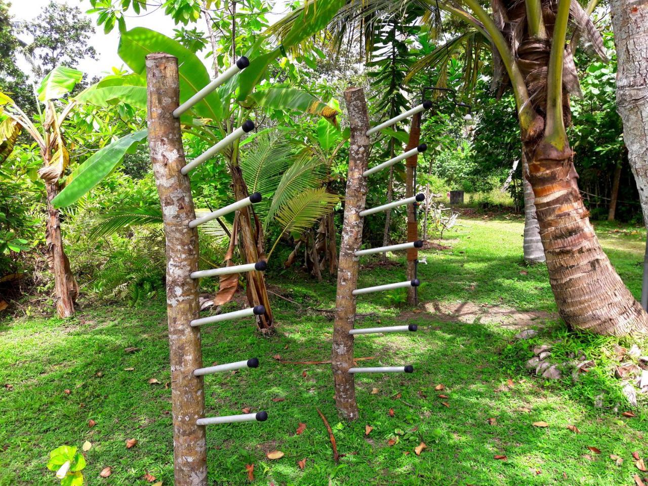 Coconut Grove - Midigama Hotel Luaran gambar